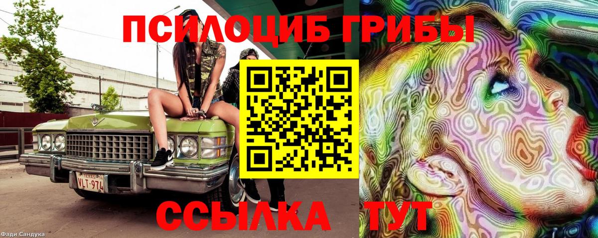 Псилоцибиновые грибы мицелий Елабуга
