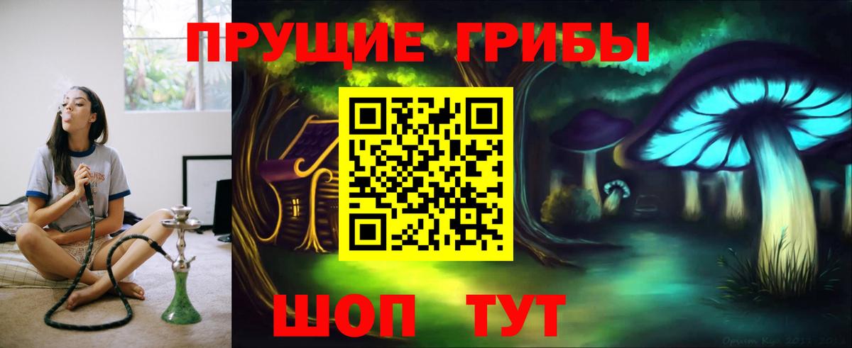 Псилоцибиновые грибы Cubensis  Псилоцибиновые грибы Psilocybe  Вход с VPN  Елабуга 